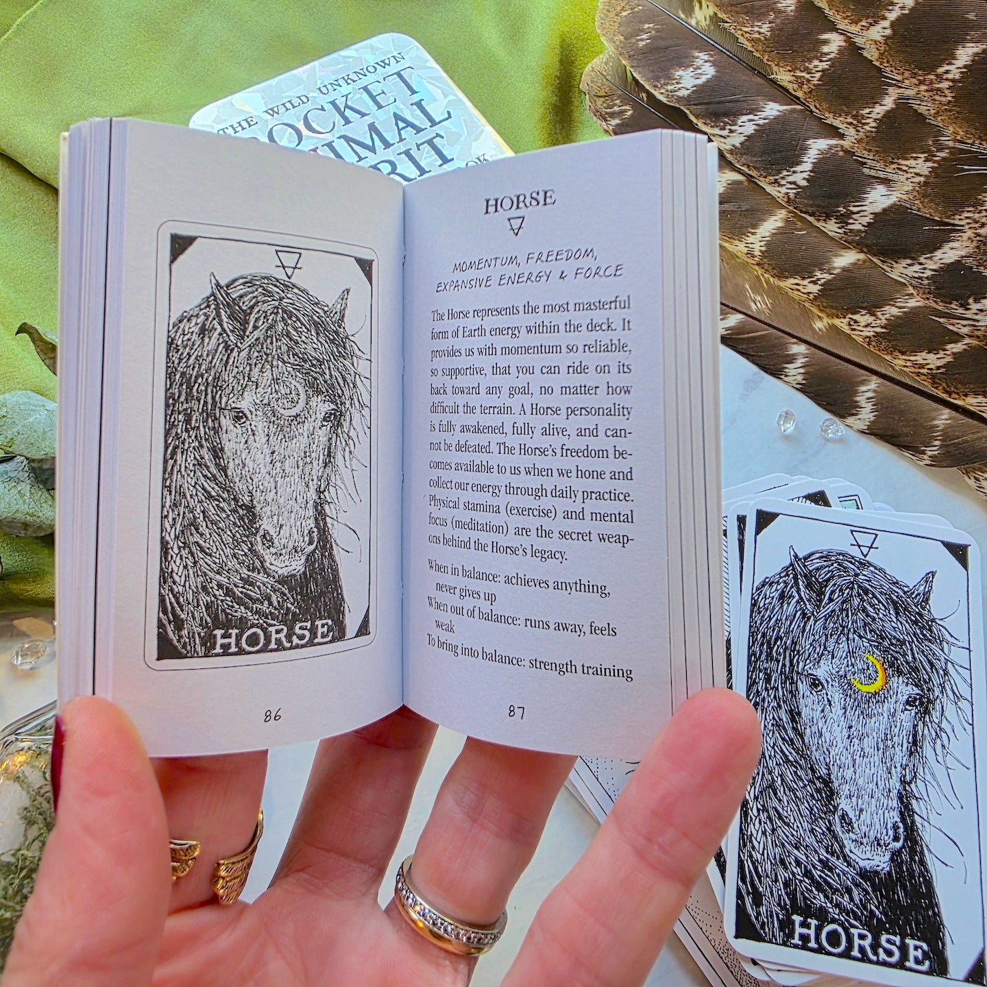 The Wild Unknown | Pocket Animal Spirit Deck + Guidebook