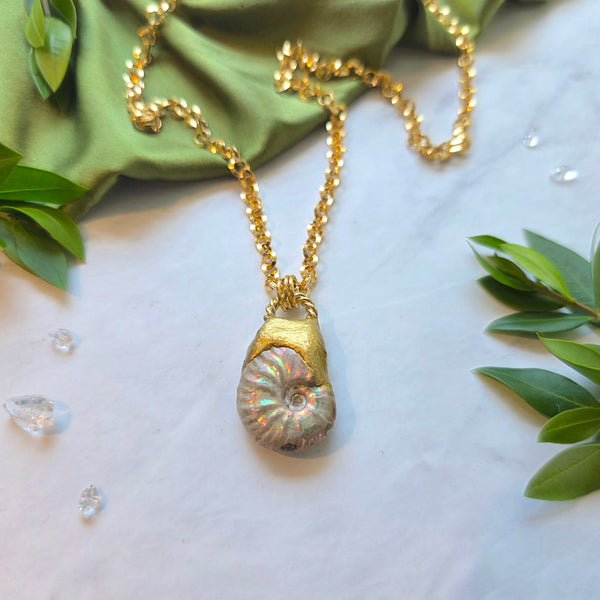 Ammonite Sacred Spiral Necklace Necklace Shop Dreamers of Dreams