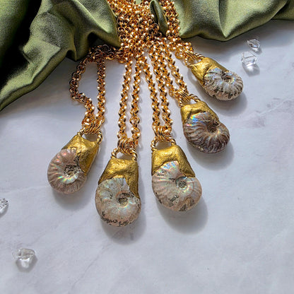 Ammonite Sacred Spiral Necklace Necklace Shop Dreamers of Dreams
