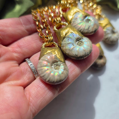 Ammonite Sacred Spiral Necklace Necklace Shop Dreamers of Dreams